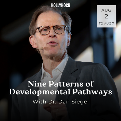 SQUARE - Nine Patterns of Developmental Pathways with Dan Siegel-3